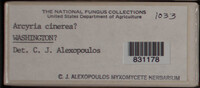 Image Associated With the Occurence